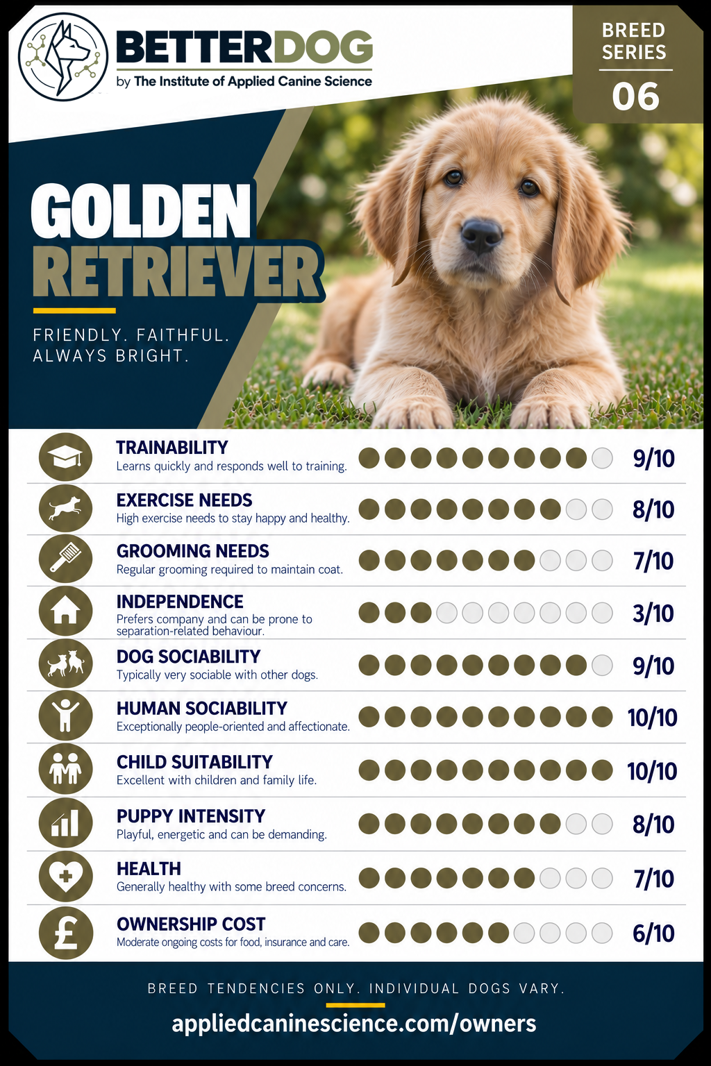 Golden Retriever breed Top Trumps card