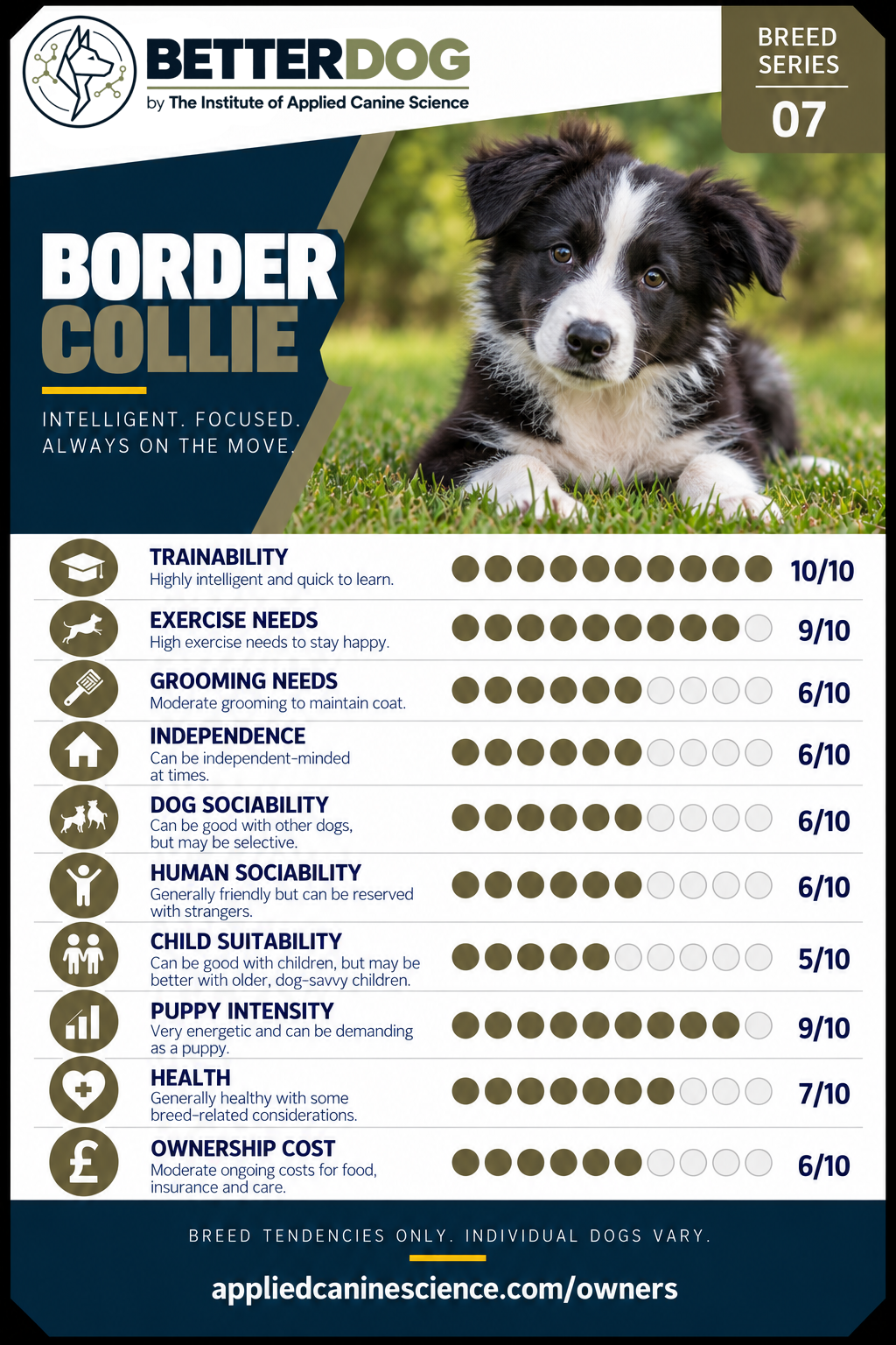 Better Dog. Better Understanding.