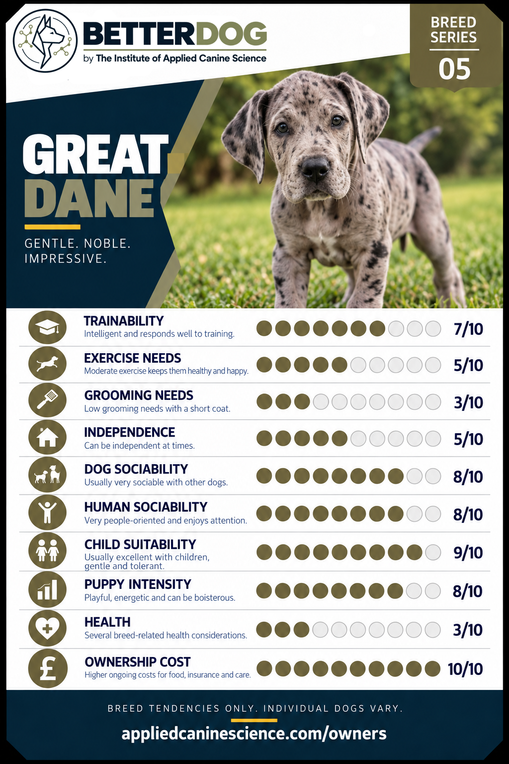 Great Dane breed Top Trumps card