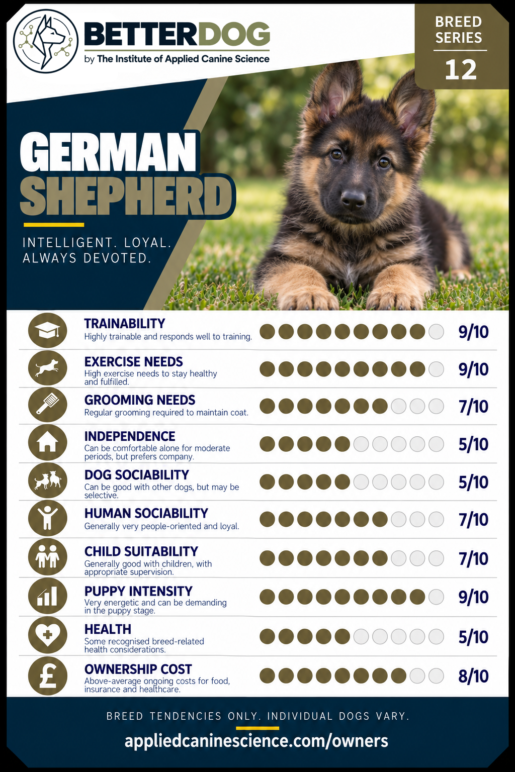 Empty card slot — upload your breed Trump Card here