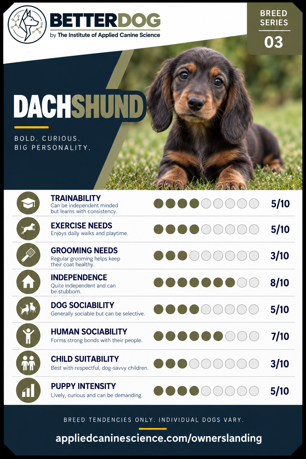 Dachshund breed Top Trumps card