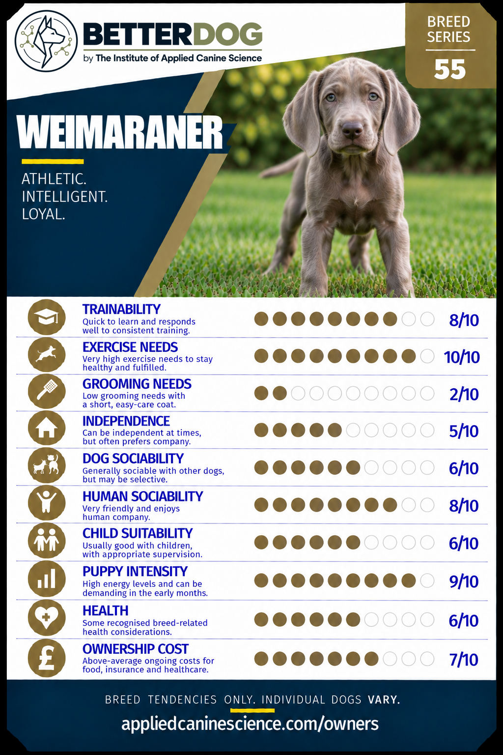 Trump Card 55 — click to replace with your breed card image