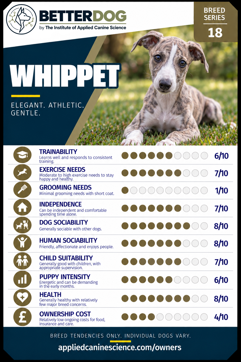 Empty card slot — upload your breed Trump Card here