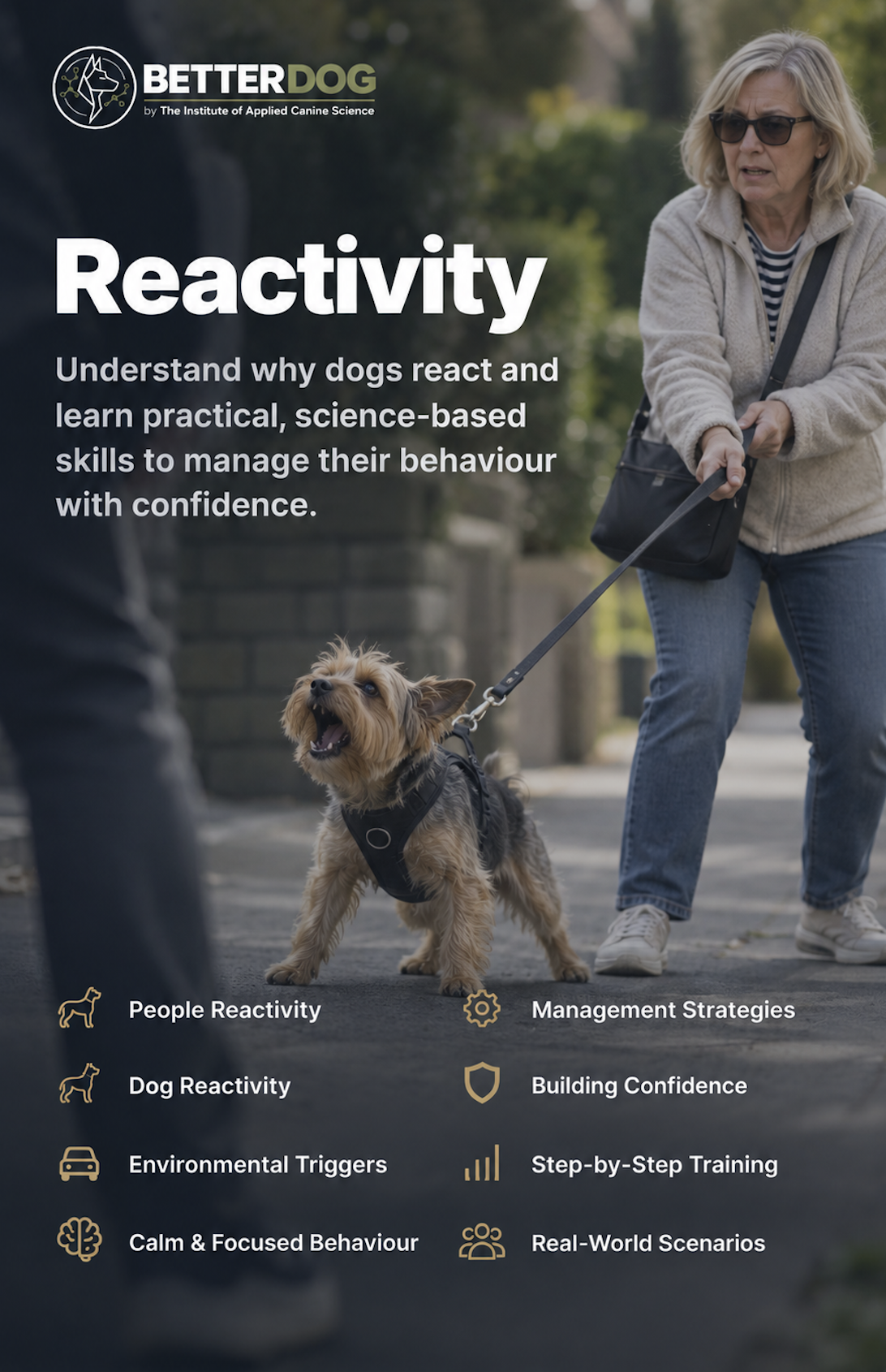 Reactivity course artwork