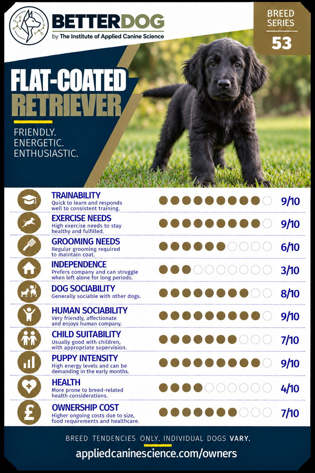 Trump Card 53 — click to replace with your breed card image