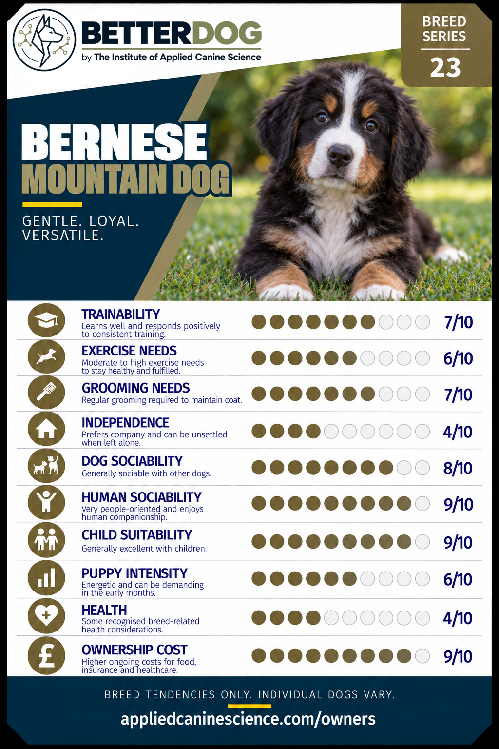 Empty card slot — upload your breed Trump Card here